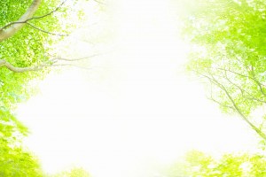 parallax_bg
