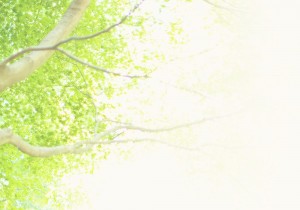 parallax_bg02